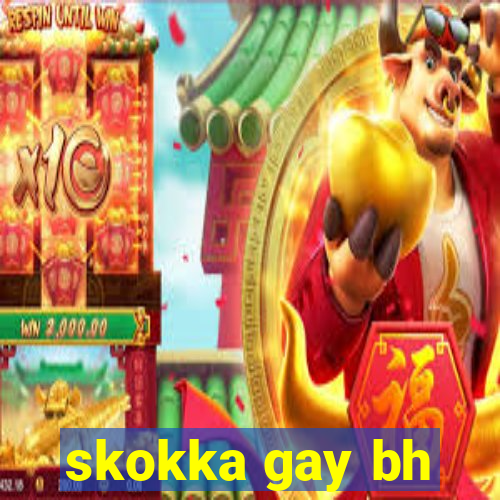 skokka gay bh